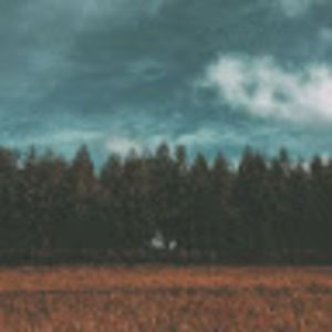 Meet your Posher, Jade